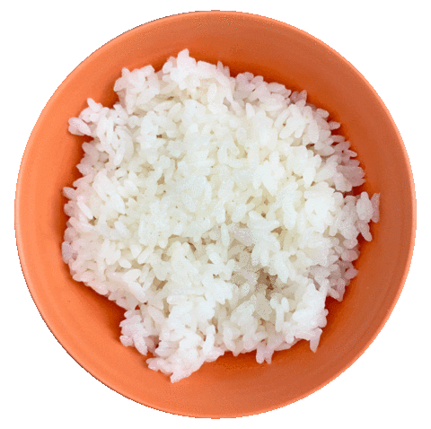 Rice Gif 1