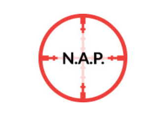 NAP Hunter Logo